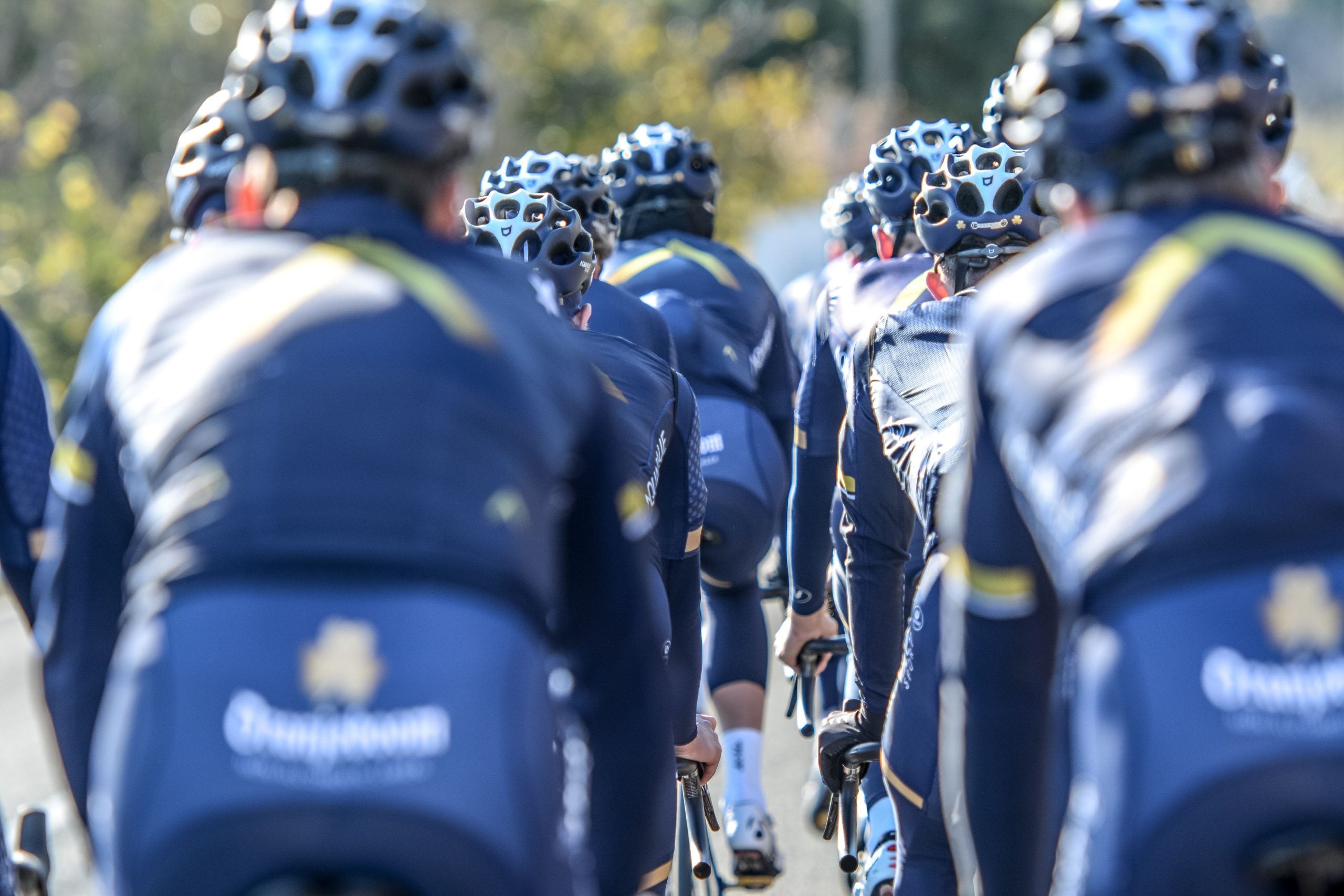 2018_website_hero (21)