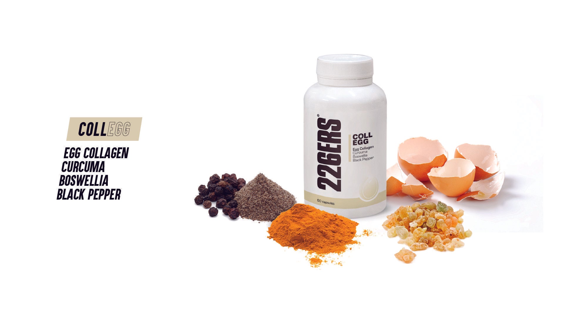 collegg_slider web_2