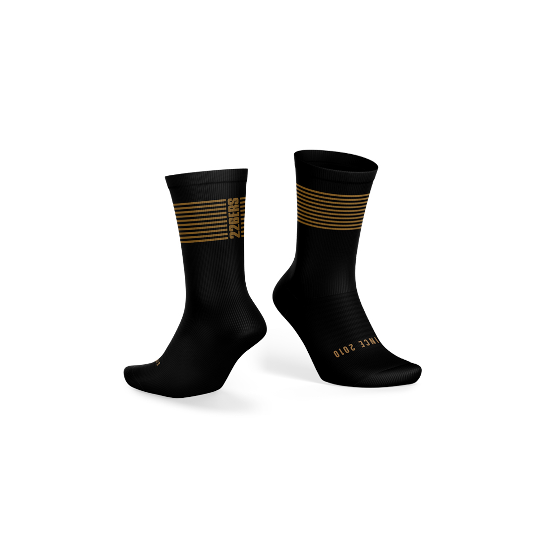 226ERS CALCETINES 2010 LTD