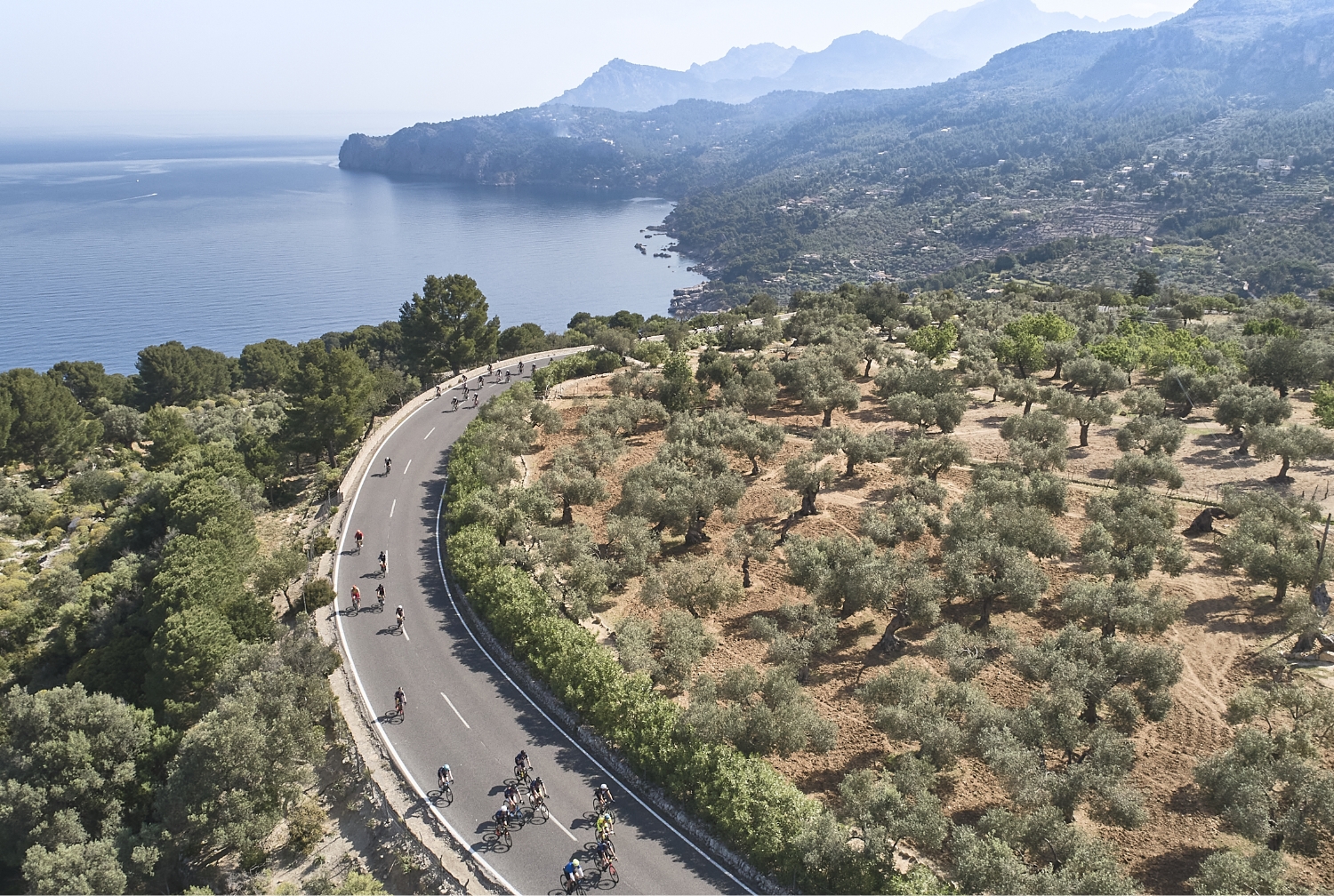 Los recorridos de Mallorca 312 OK Mobility